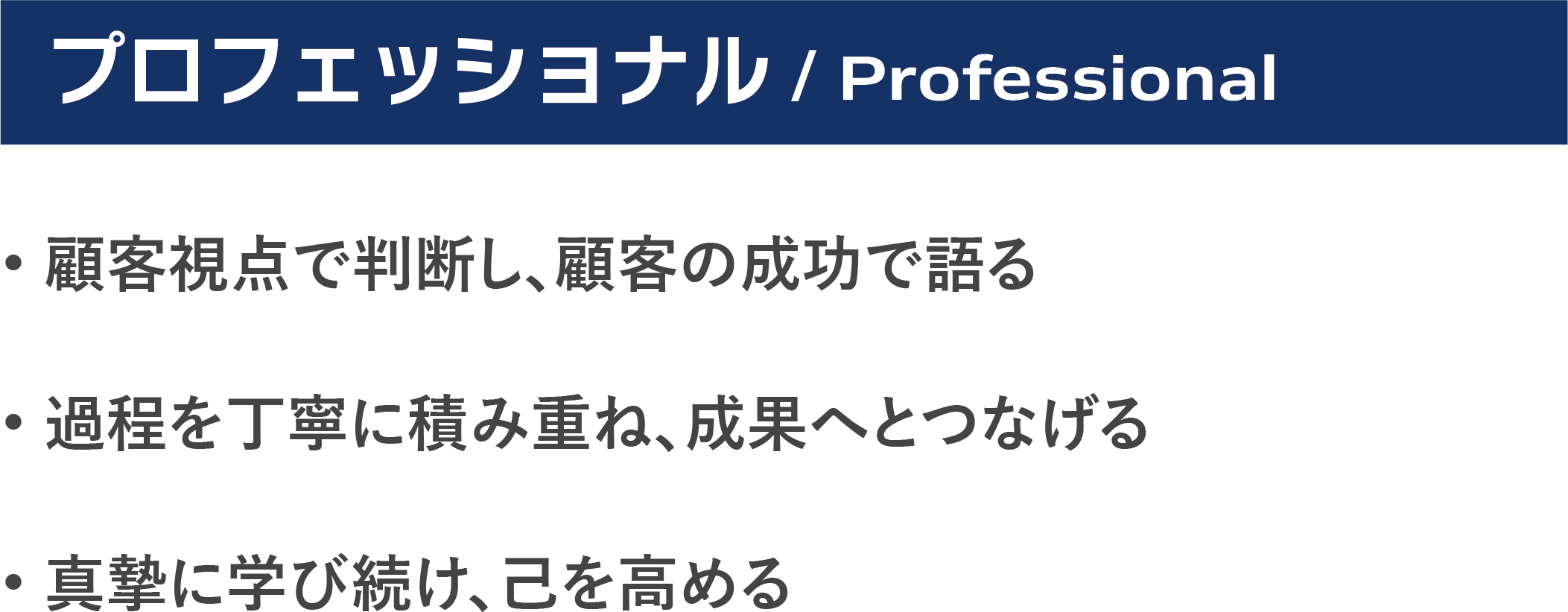 プロフェッショナル