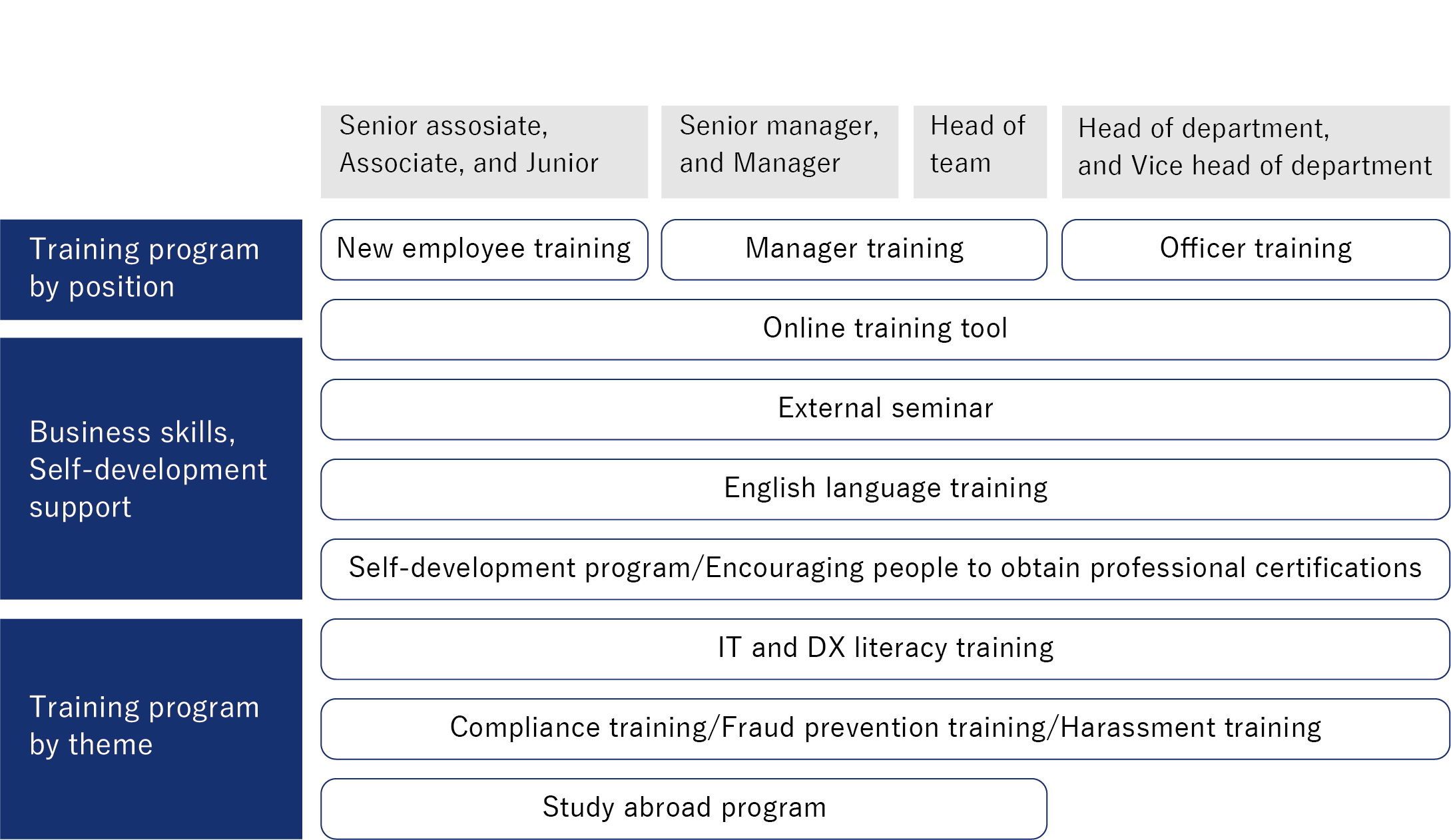 Examples of human resource development programs by position and level